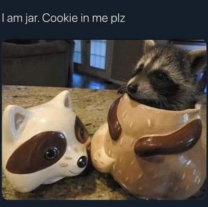 Meet your Posher, Panda